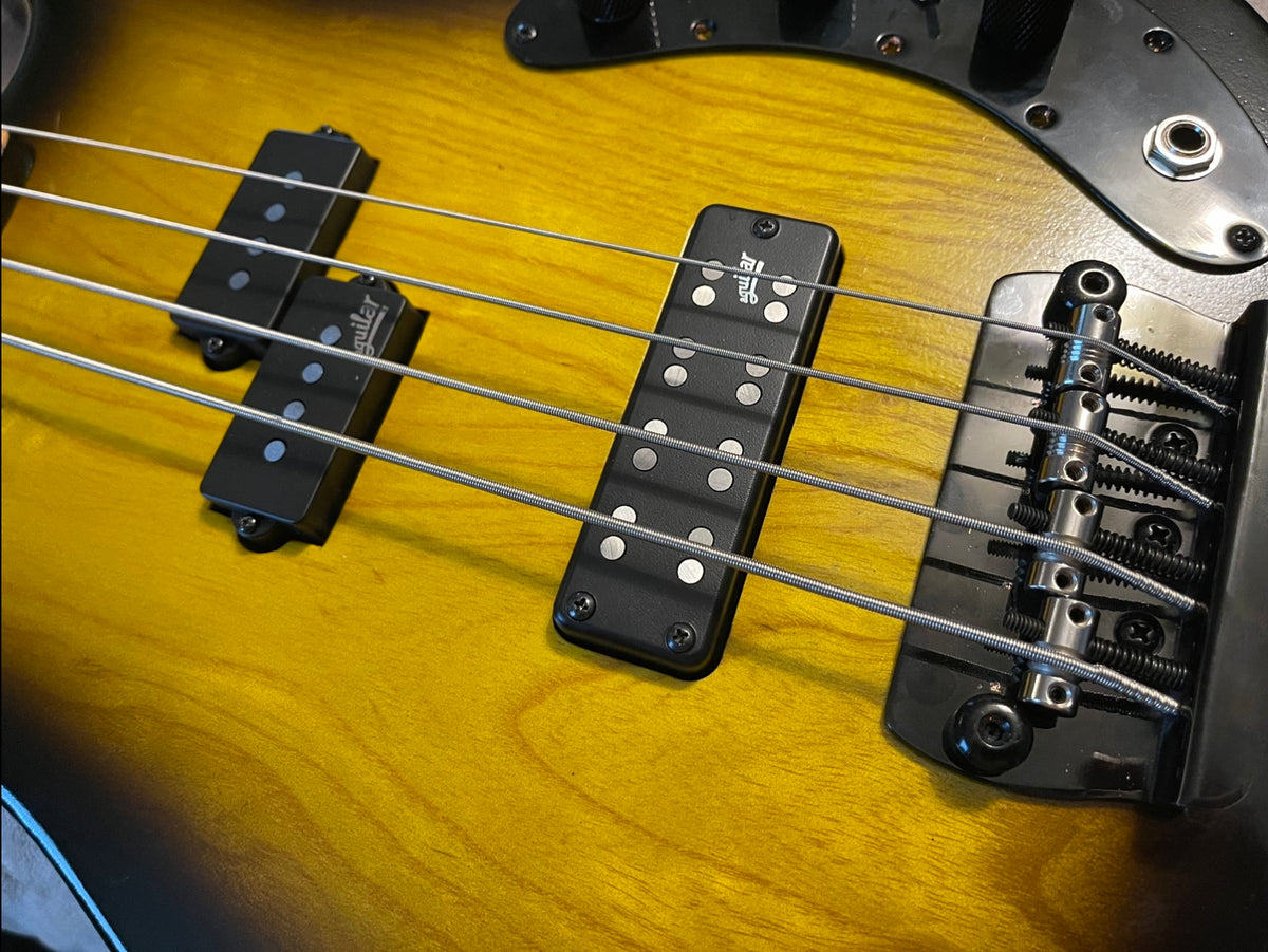 Basses – D. Taylor Guitars